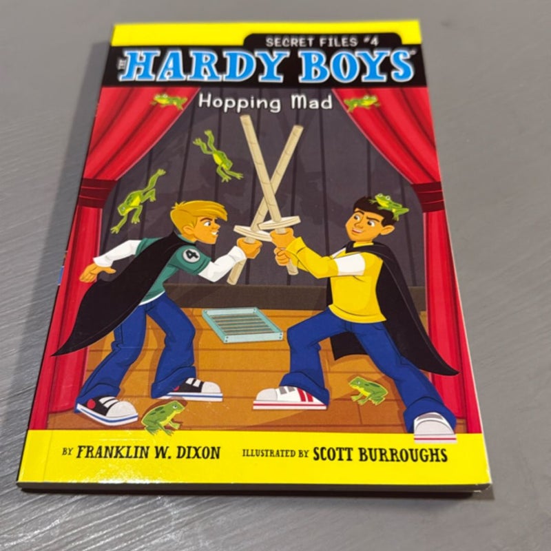 Secret Files #4: The Hardy Boys