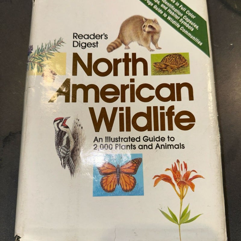 North American Wildlife