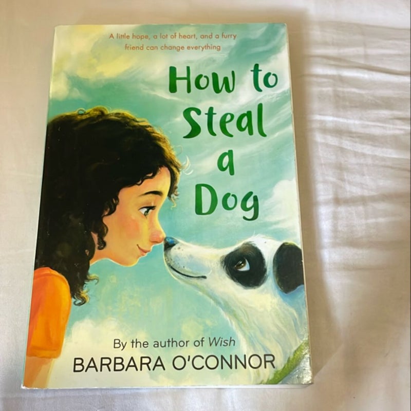 How to Steal a Dog