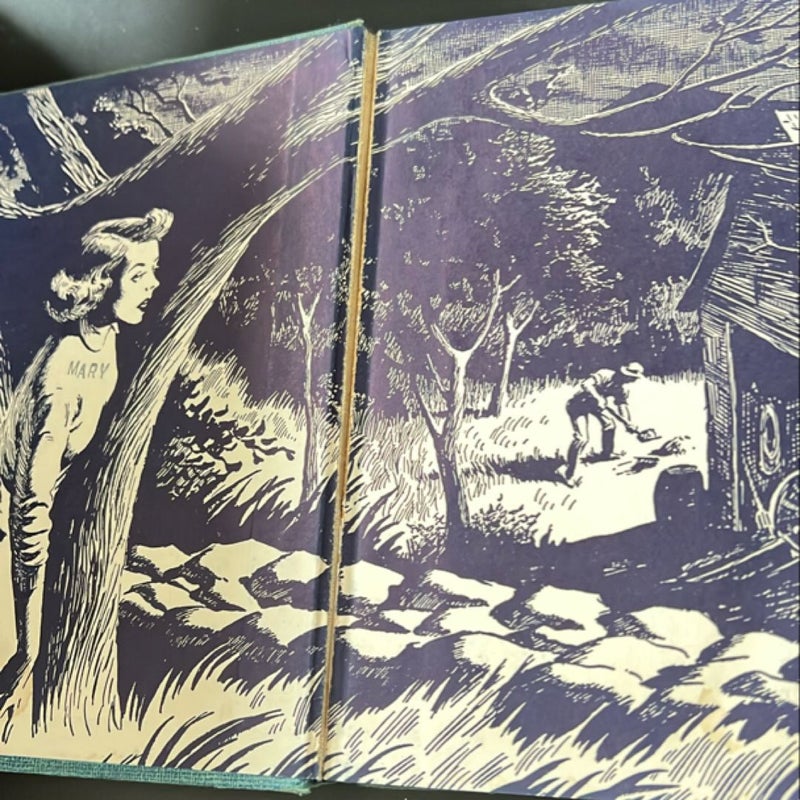 Nancy Drew The Secret of the Wooden Lady