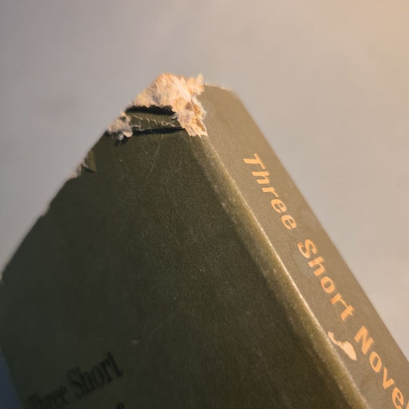 Three Short Novels Of Dostoevsky