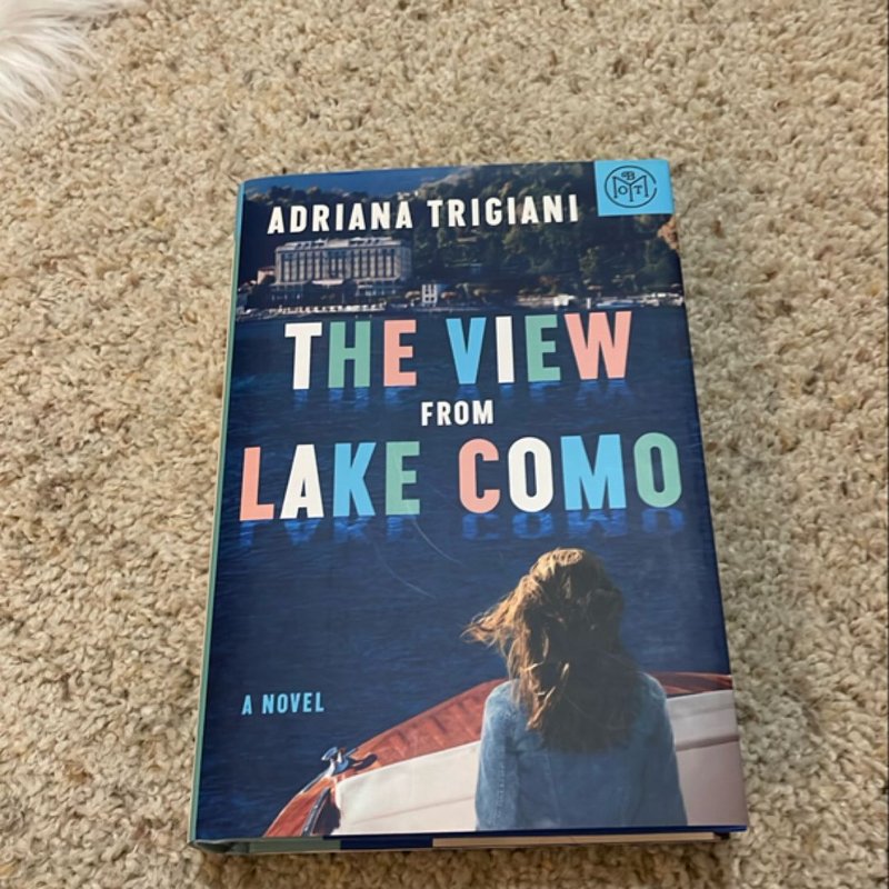 The View from Lake Como