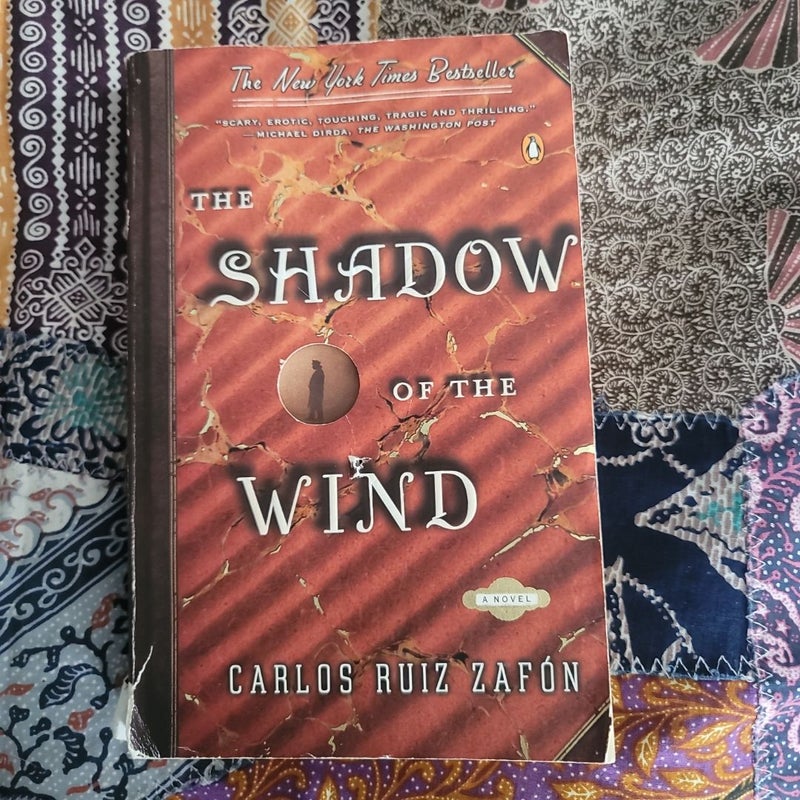 The Shadow of the Wind