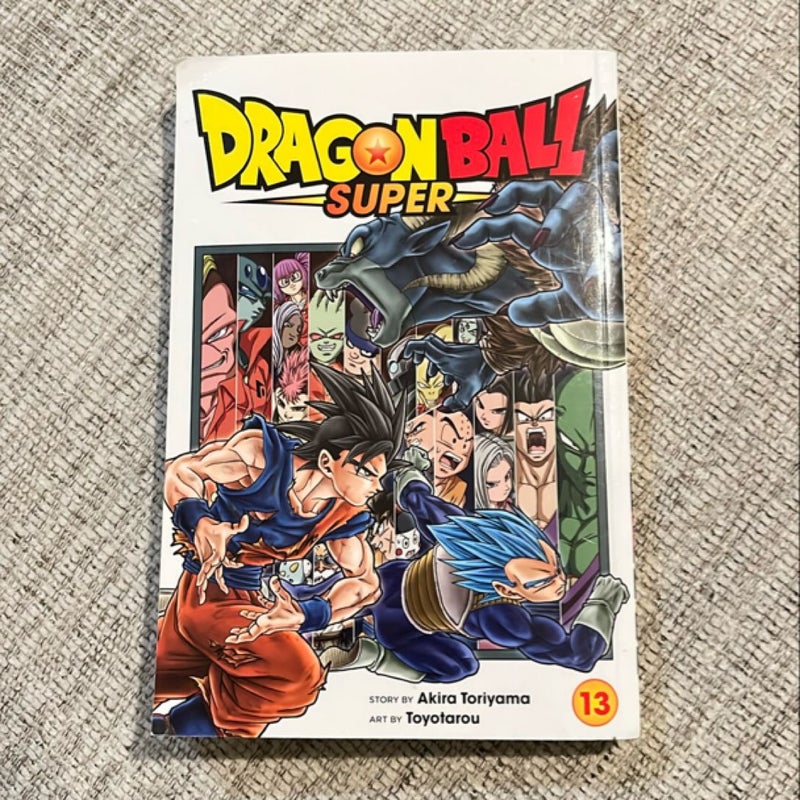 Dragon Ball Super, Vol. 13