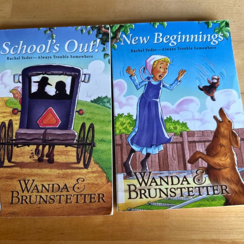 Rachel Yoder Series Books 1 & 4