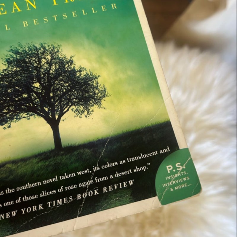 The Bean Trees