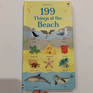 199 Things at the Seaside