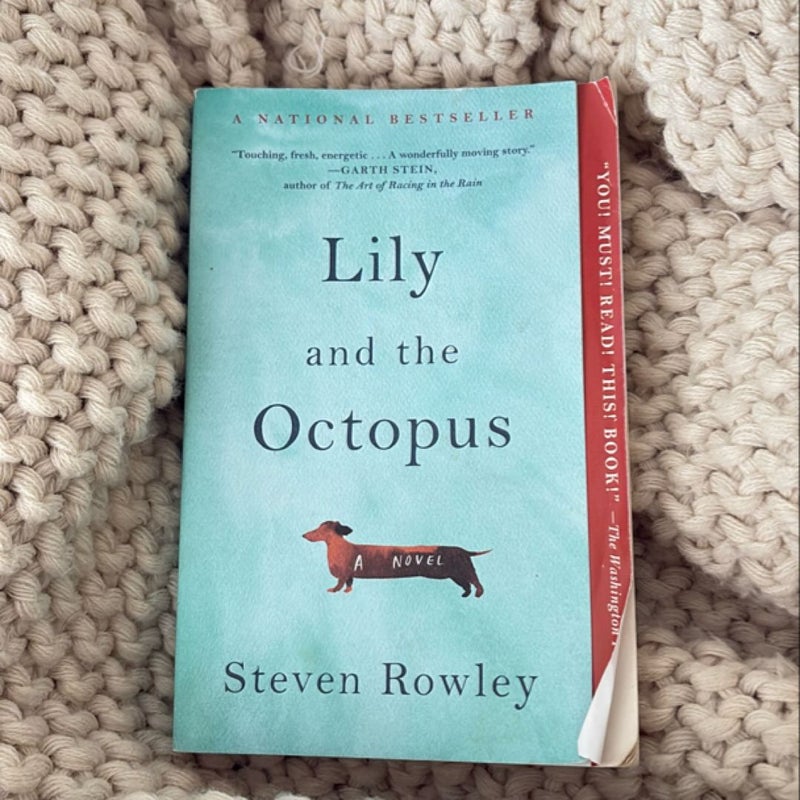 Lily and the Octopus