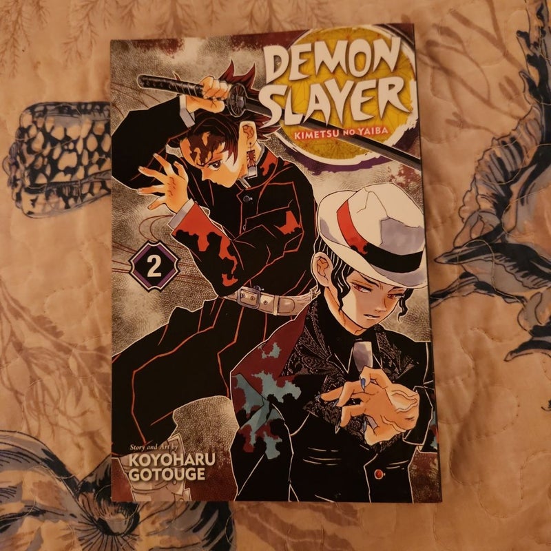 Demon Slayer: Kimetsu No Yaiba, Vol. 2