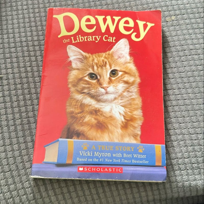 Dewey the Library Cat