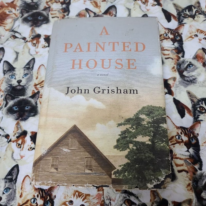 A Painted House