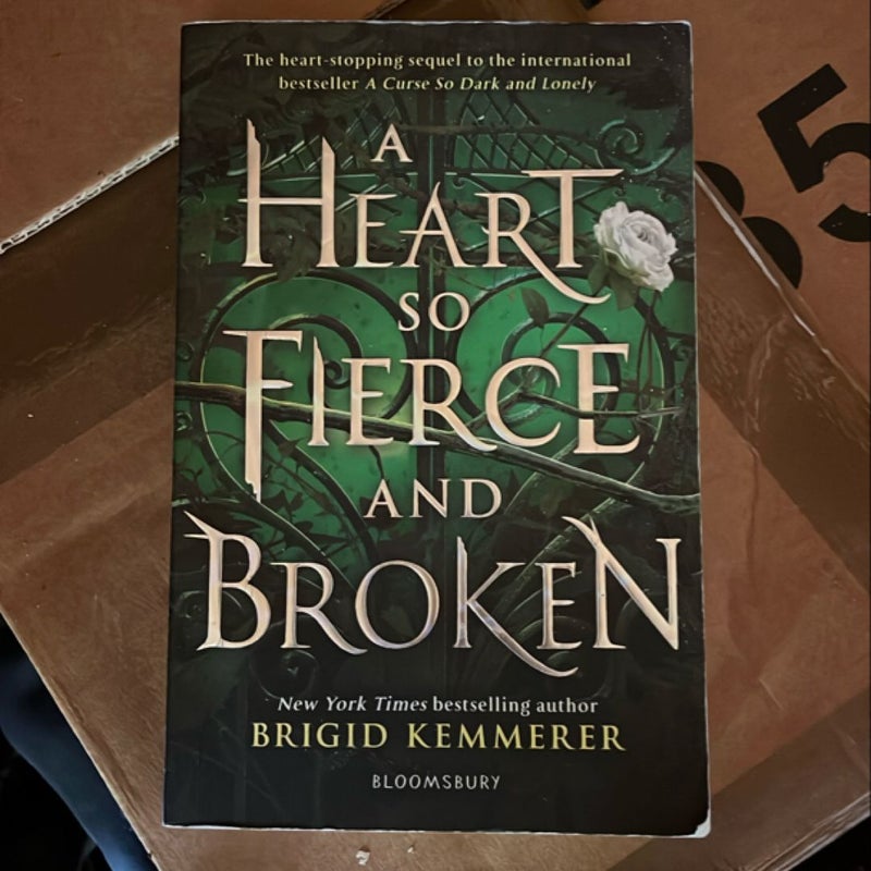 A Heart So Fierce and Broken