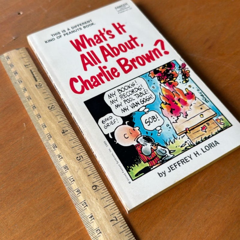 What’s It All About, Charlie Brown?