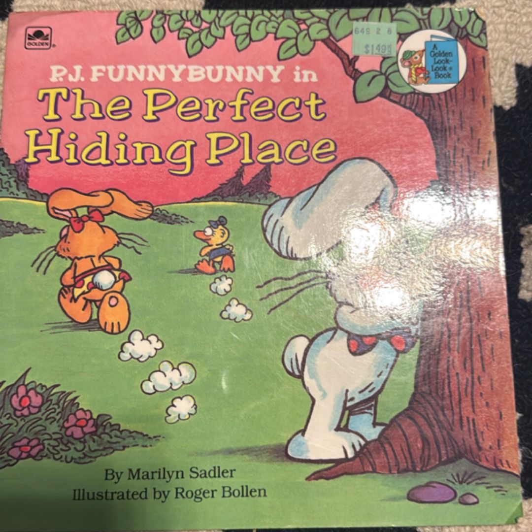 Perfect Hiding Place