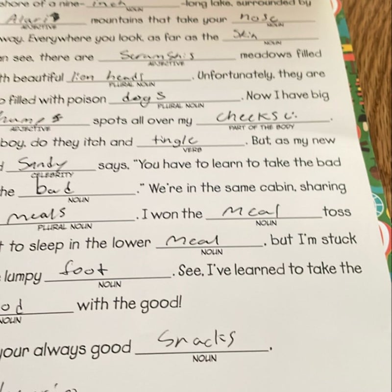 Letters from Camp Mad Libs