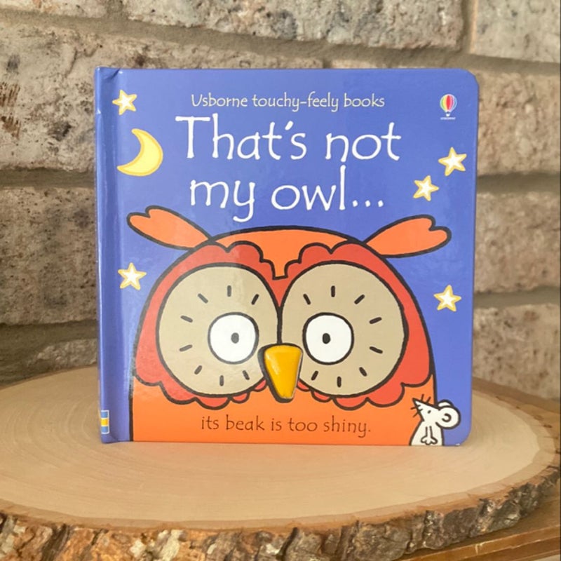 That’s Not My Owl…