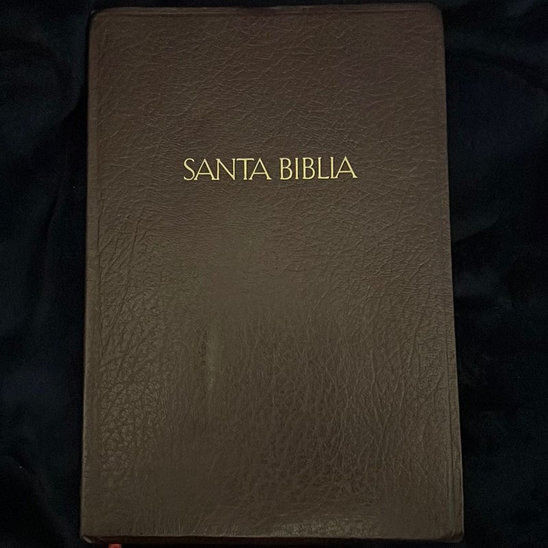 Santa Biblia