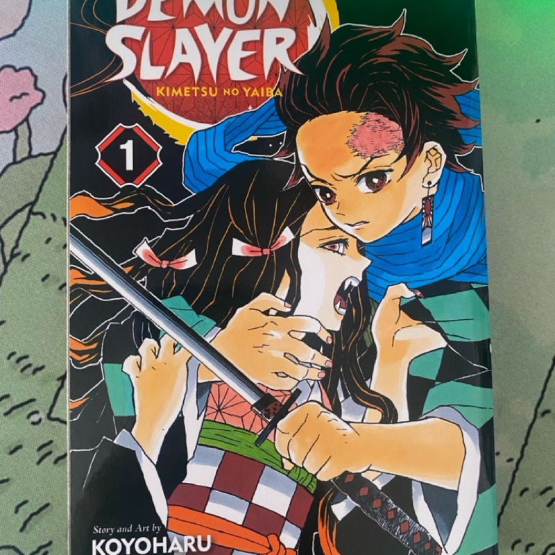 Demon Slayer: Kimetsu No Yaiba, Vol. 1