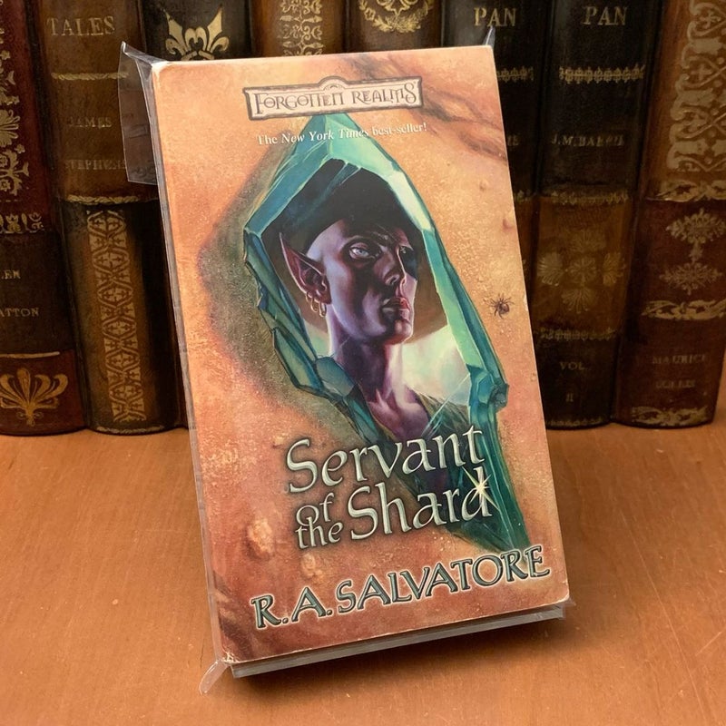 Forgotten Realms: Servant of the Shard, Legend of Drizzt, Sellswords 1
