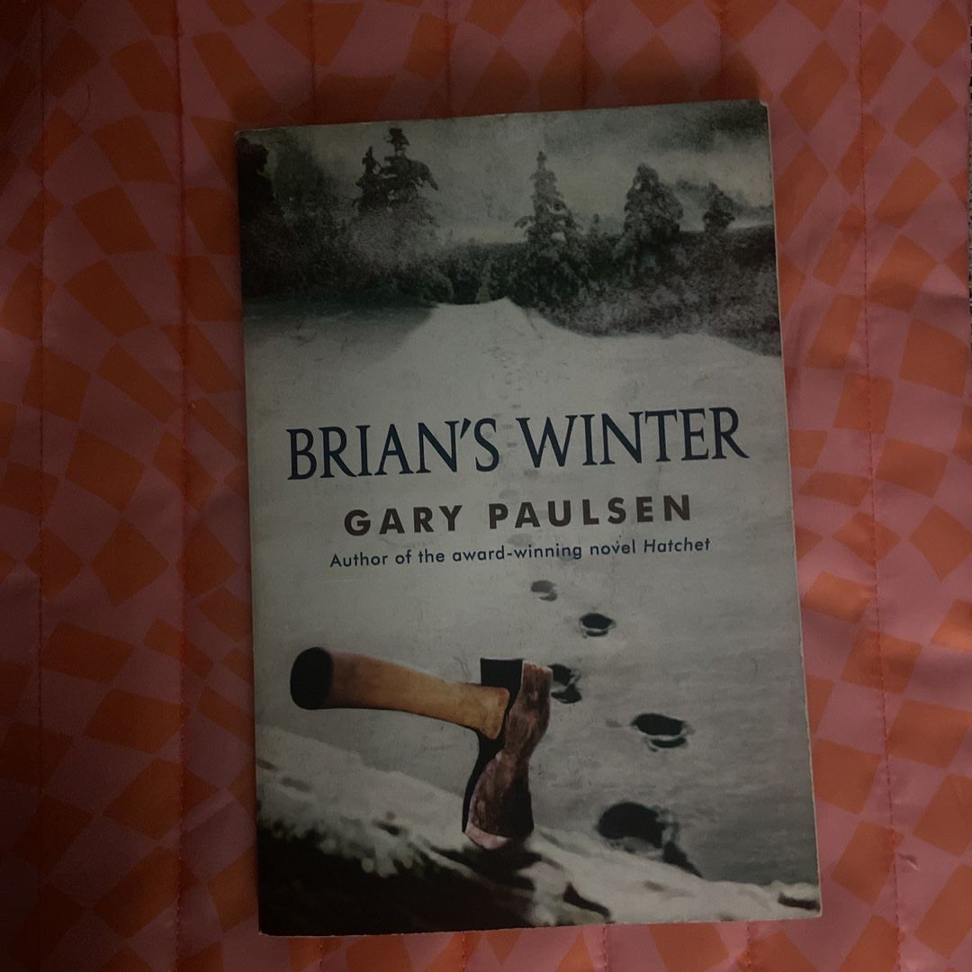 Brian's Winter