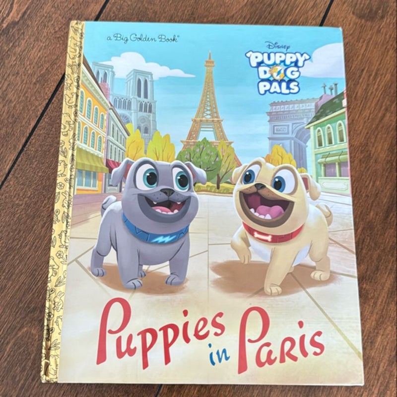 Puppies in Paris