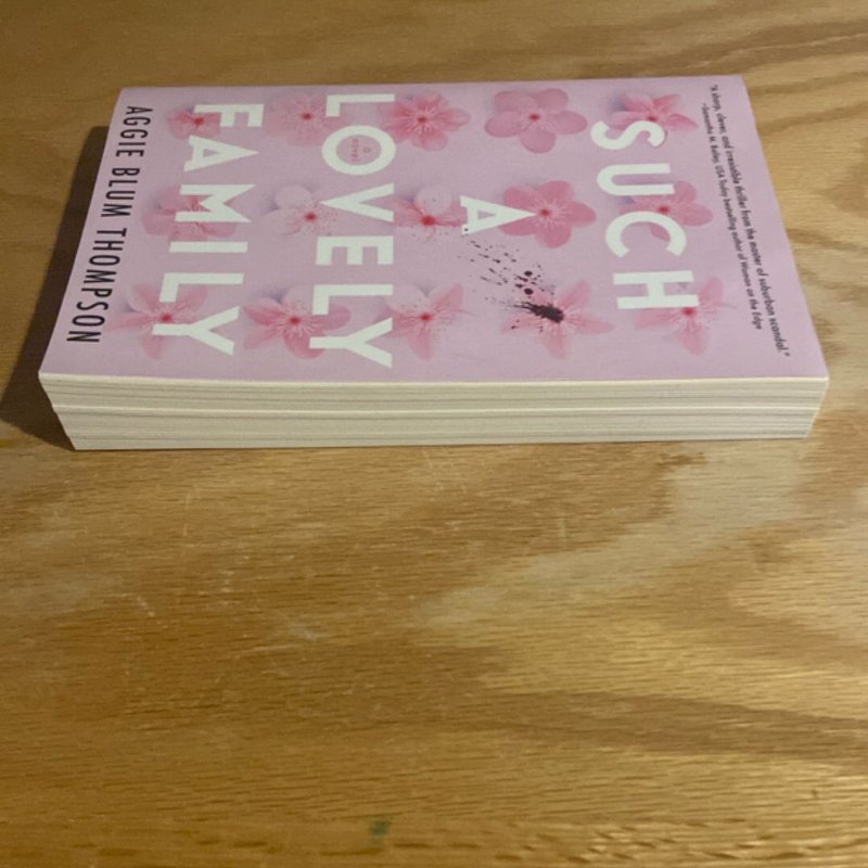 Such a Lovely Family