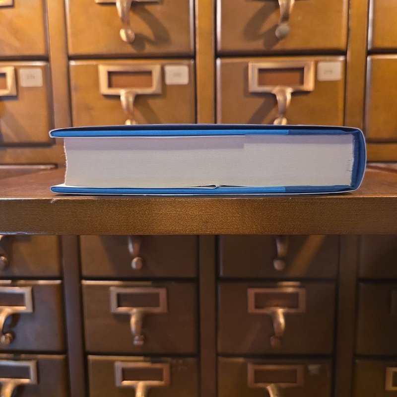 The Night She Disappeared