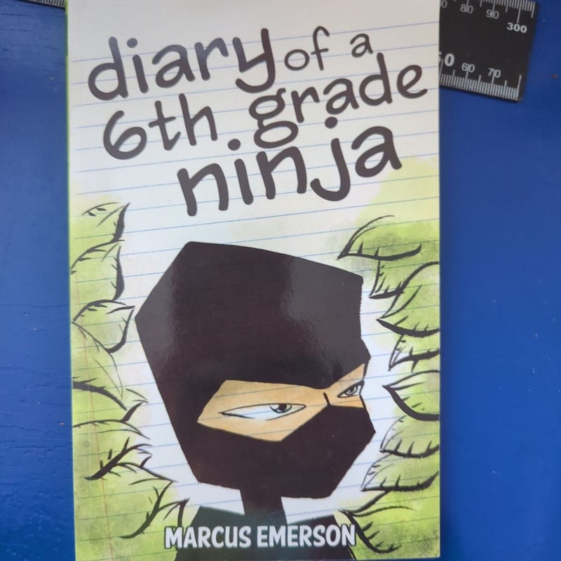 Diary of a 6th Grade Ninja