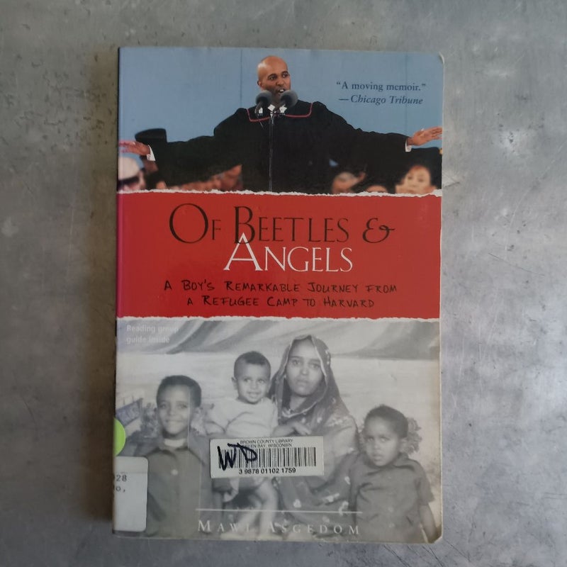 Of Beetles and Angels