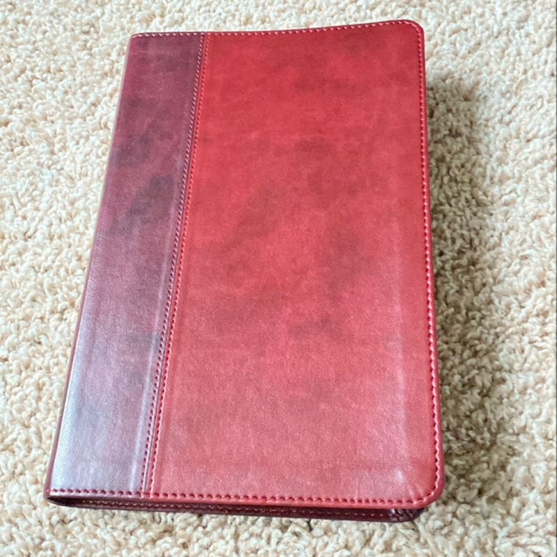 ESV Large Print Thinline Bible (TruTone, Burgundy/Red, Timeless Design)