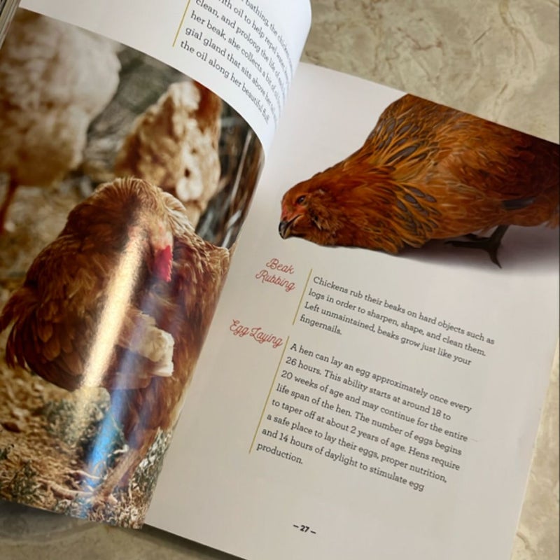 How to Speak Chicken