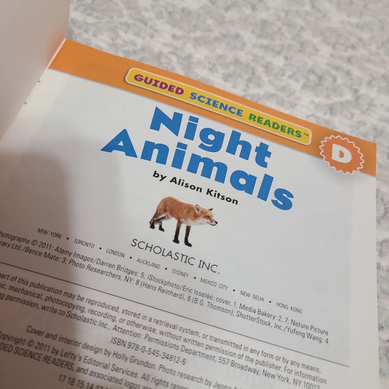 Night Animals 