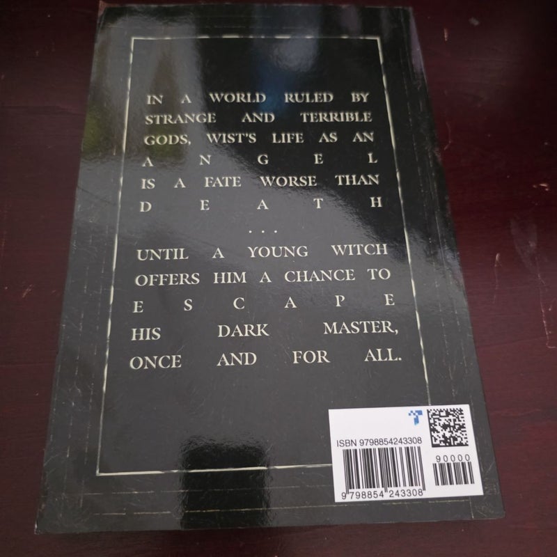 Wist: a Graphic Novel
