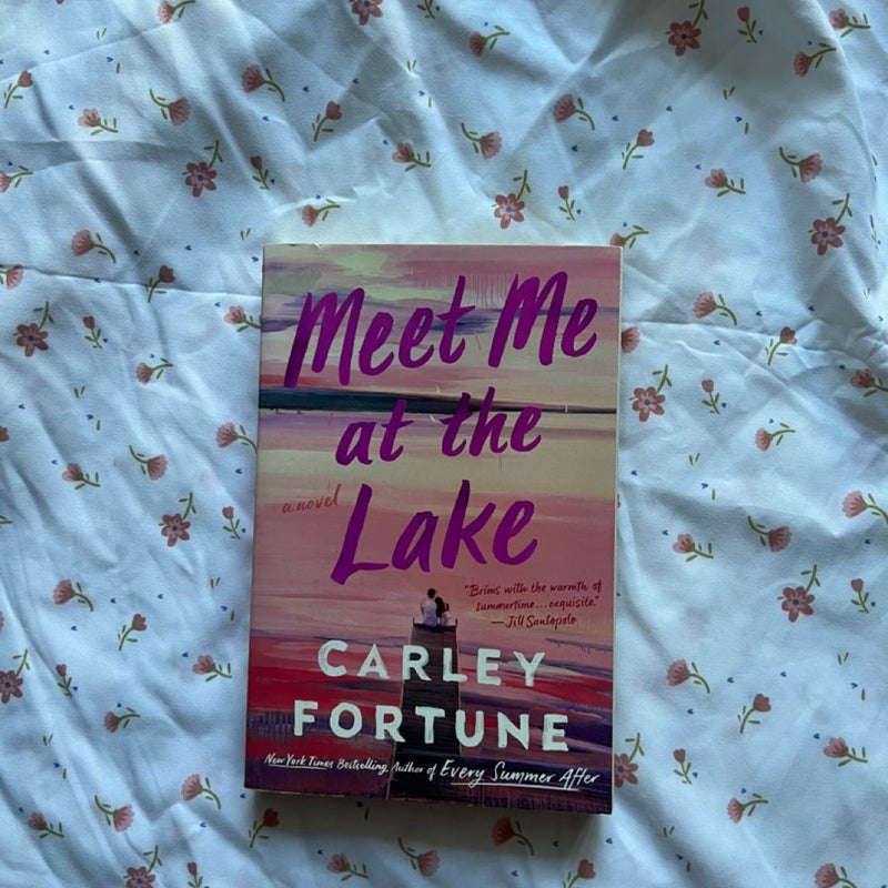 Meet Me At The Lake by Carley Fortune