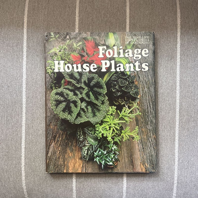 Foliage House Plants