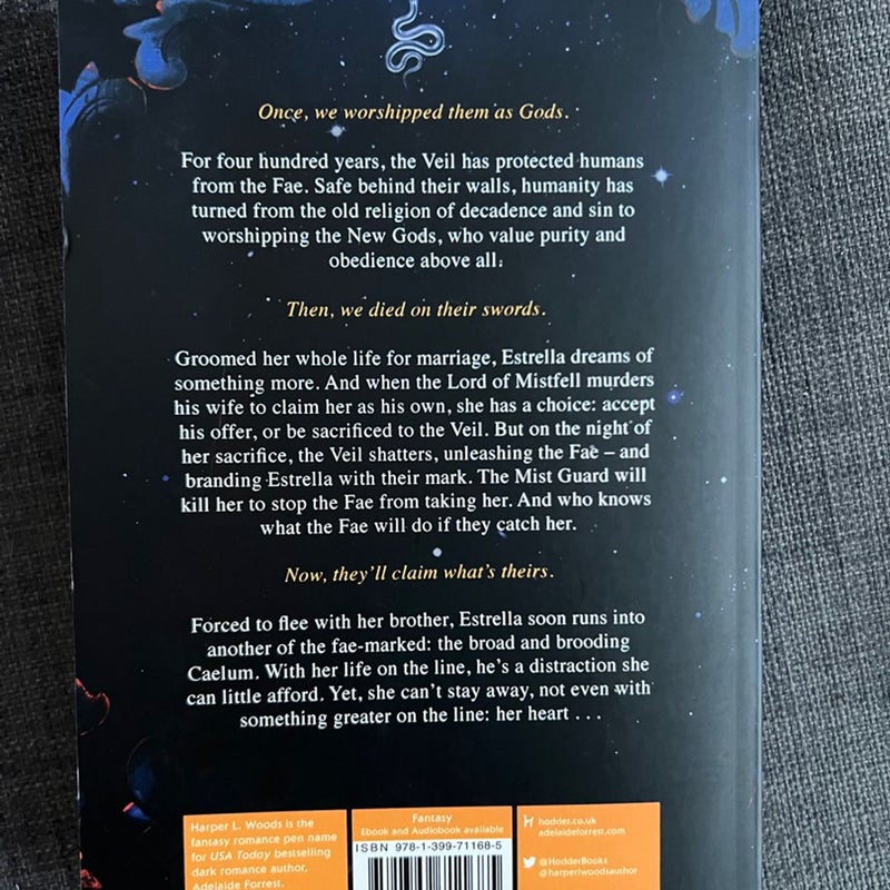 What Lies Beyond the Veil by Harper L. Woods