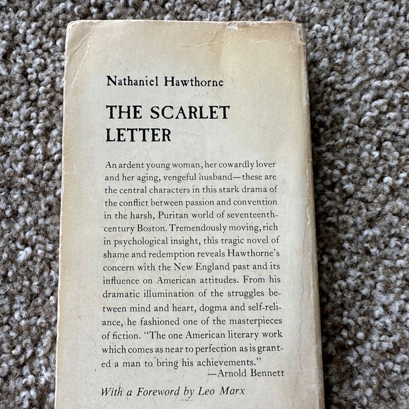 The Scarlett Letter