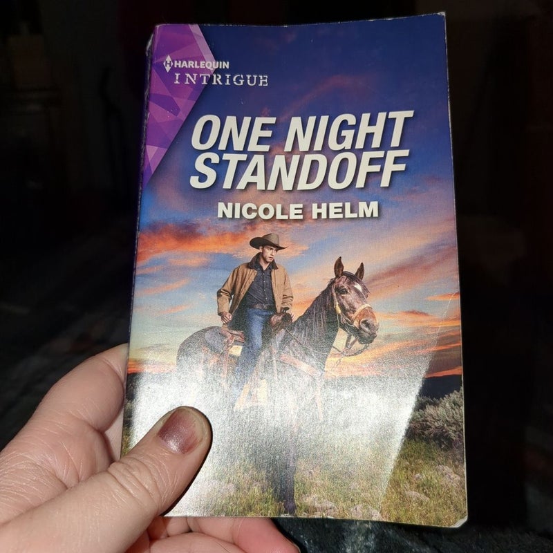 One Night Standoff