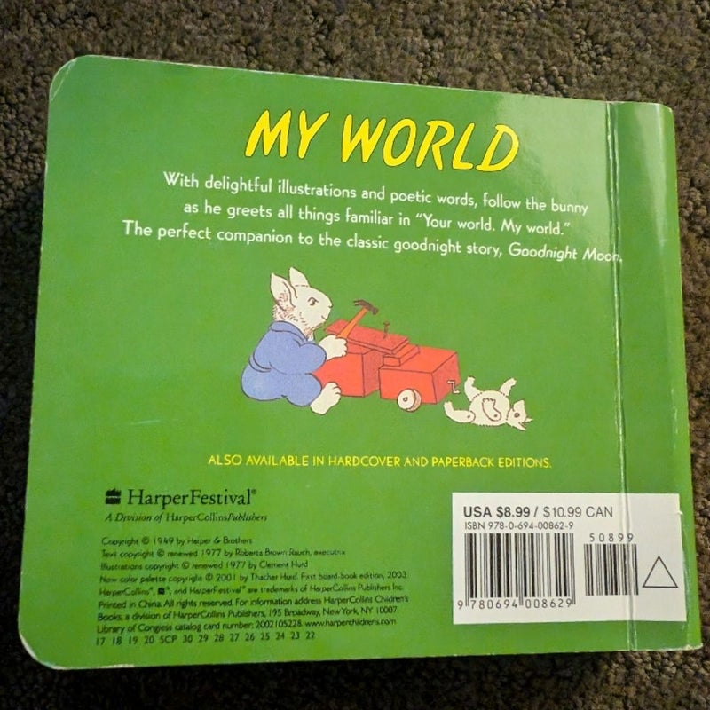 My World Board Book