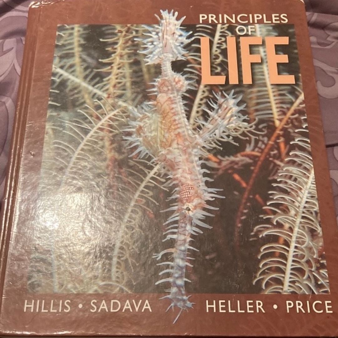 Principles Of Life By David M. Hillis, Hardcover | Pangobooks