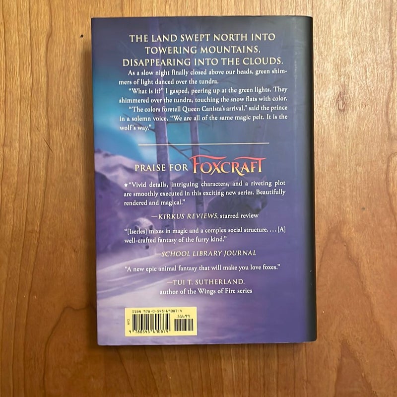 The Mage (Foxcraft, Book 3)