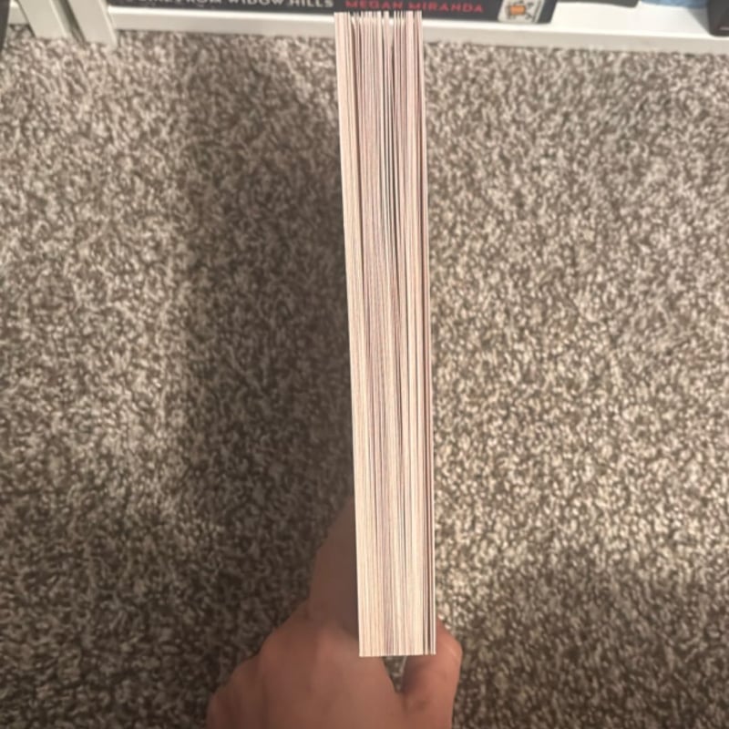 The Never King (Vicious Lost Boys, 1)