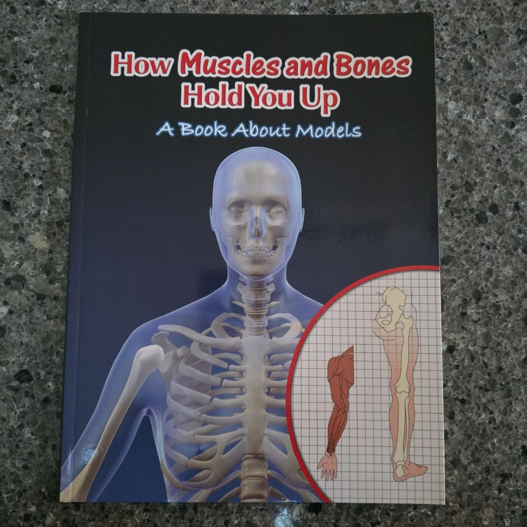 How Muscles and Bones Hold You Up