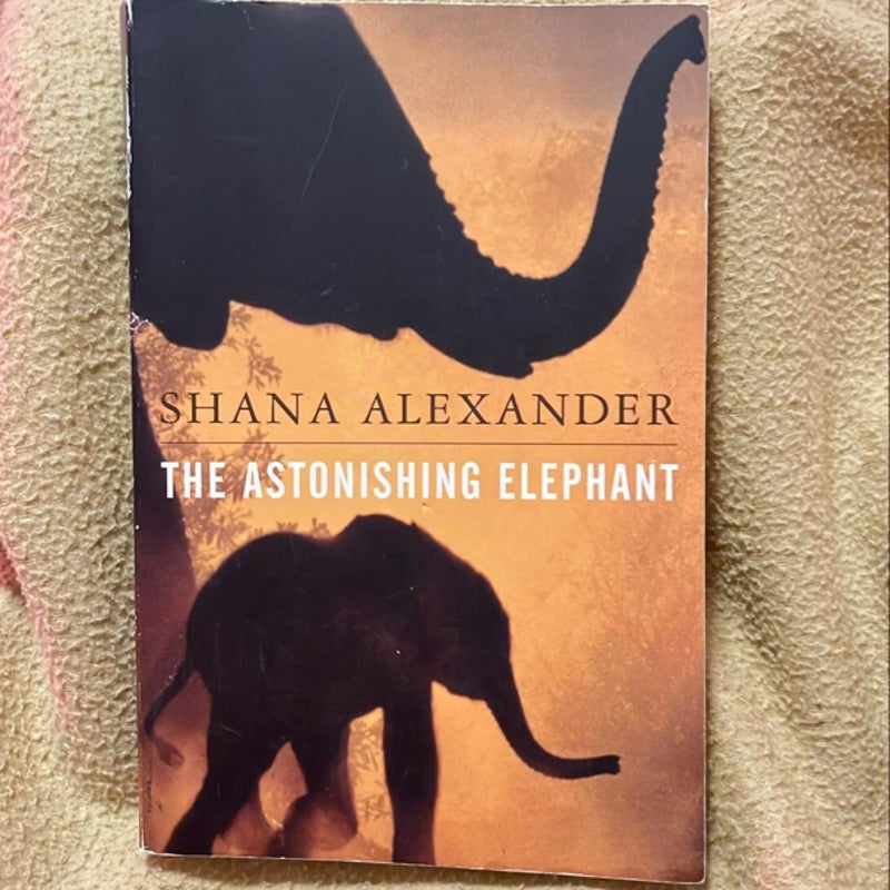 The Astonishing Elephant