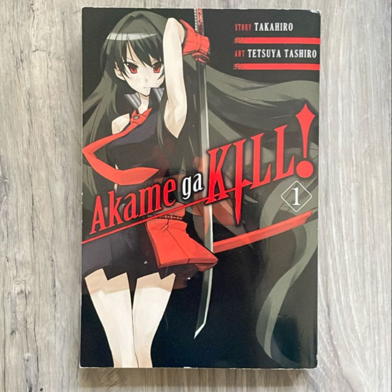 Akame Ga KILL!, Vol. 1