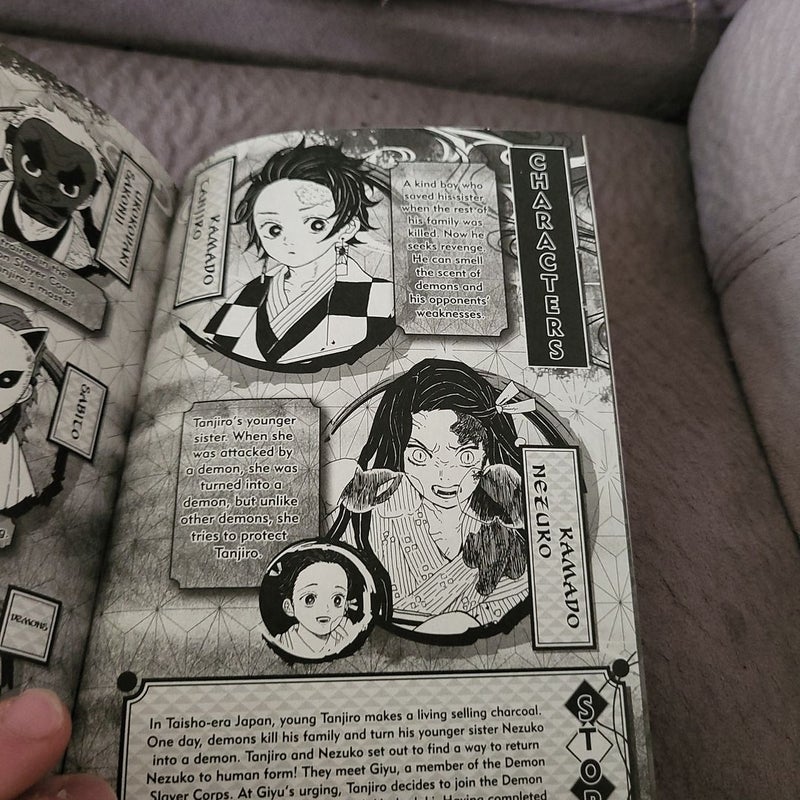 Demon Slayer: Kimetsu No Yaiba, Vol. 2