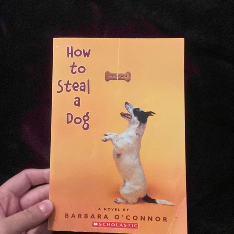 How to Steal a Dog