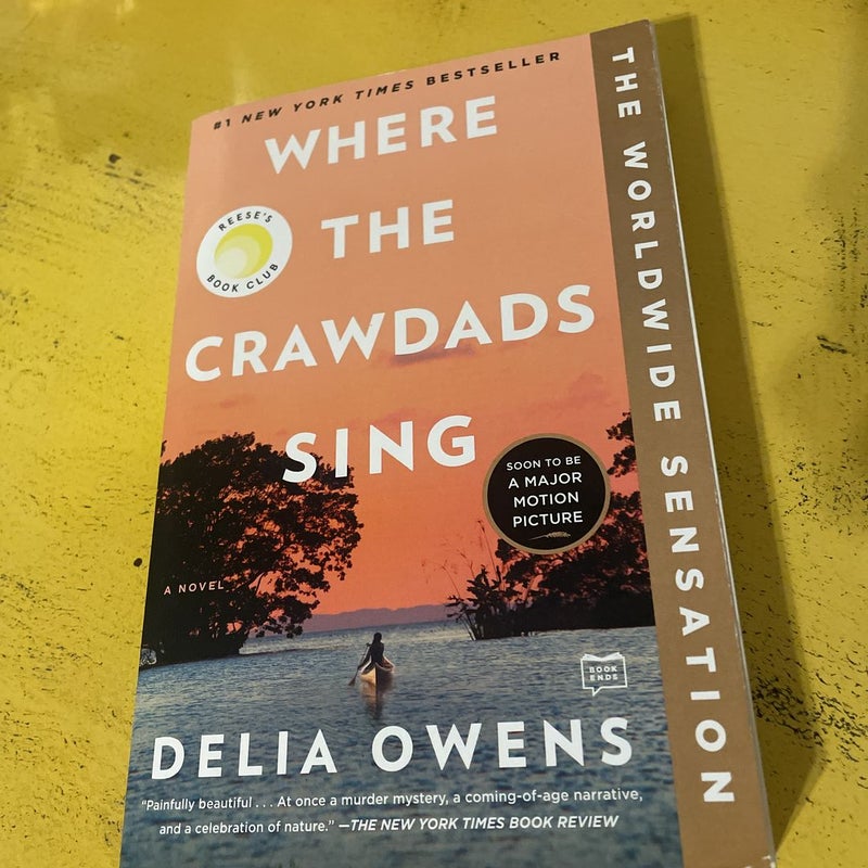 Where the Crawdads Sing