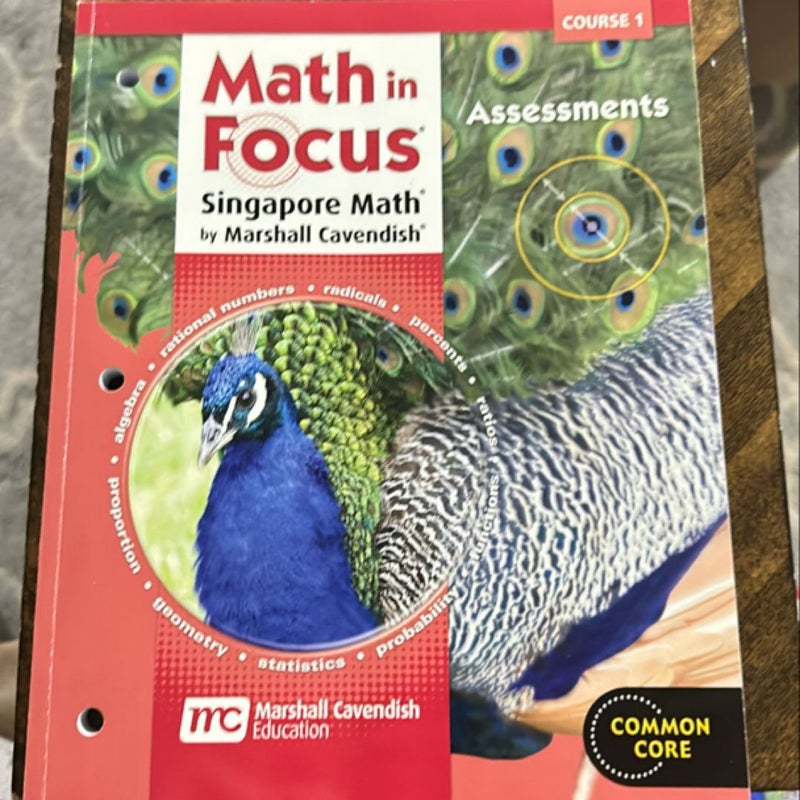 Math in Focus: Singapore Math