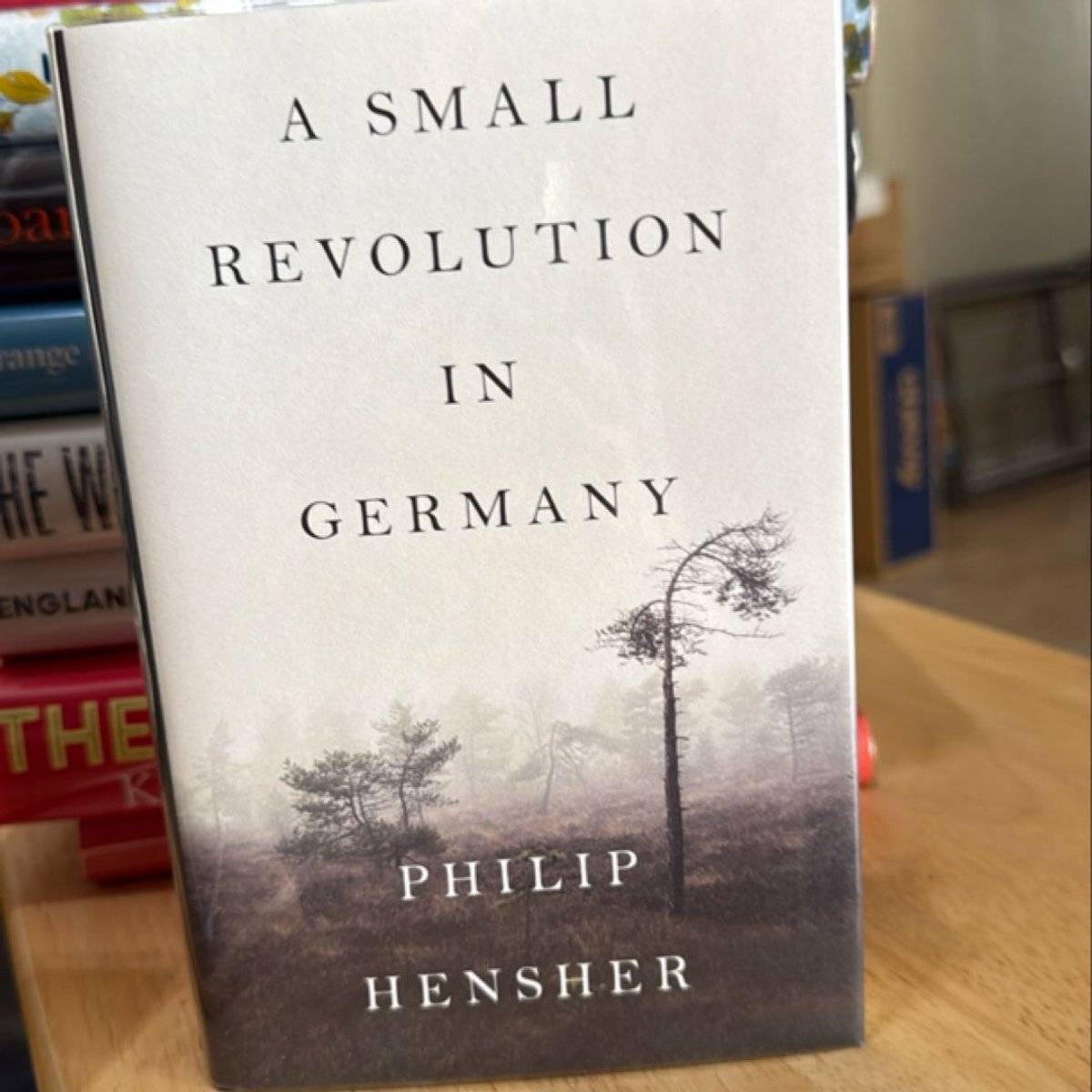 A Small Revolution in Germany by Philip Hensher
